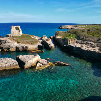 roca